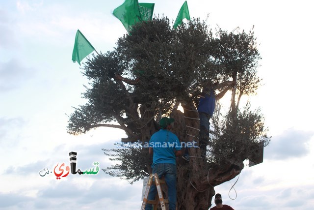  كفرقاسم - فيديو: الرئيس عادل بدير  الأيدي المتوضئة تُعمر وتحمي البلد واهله  و يشارك شباب الحرسة الاعمال التطوعية التنظيفية في مدخل البلدة